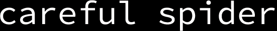 Careful Spider Logo